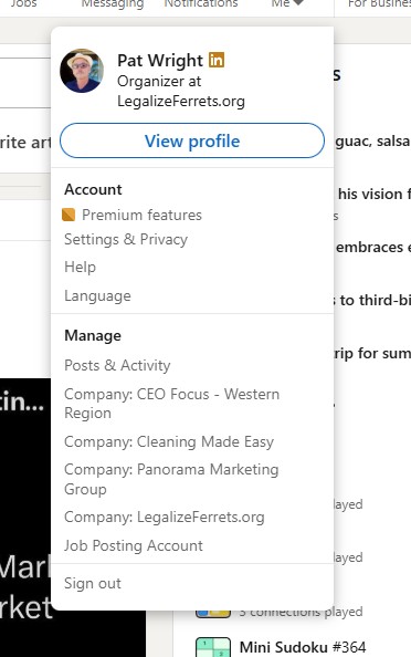 LinkedIn profile menu showing a personal profile and multiple company pages for a small business owner.